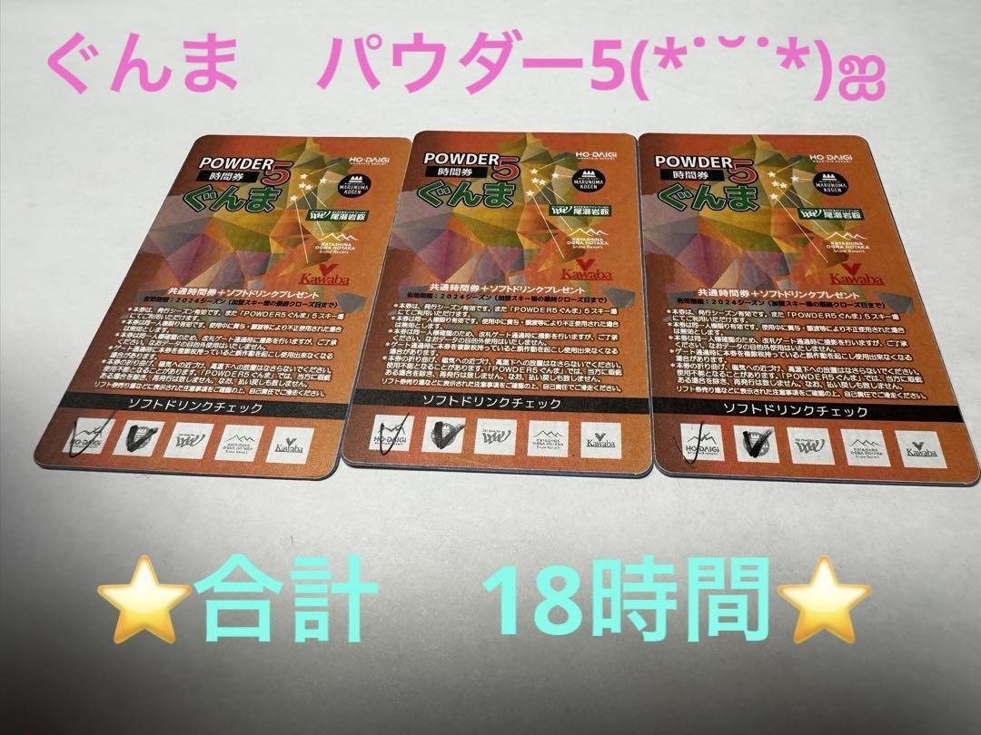ぐんまパウダー5