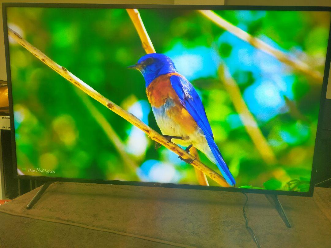 SONY BRAVIA KJ-55X8000H（2020年製）