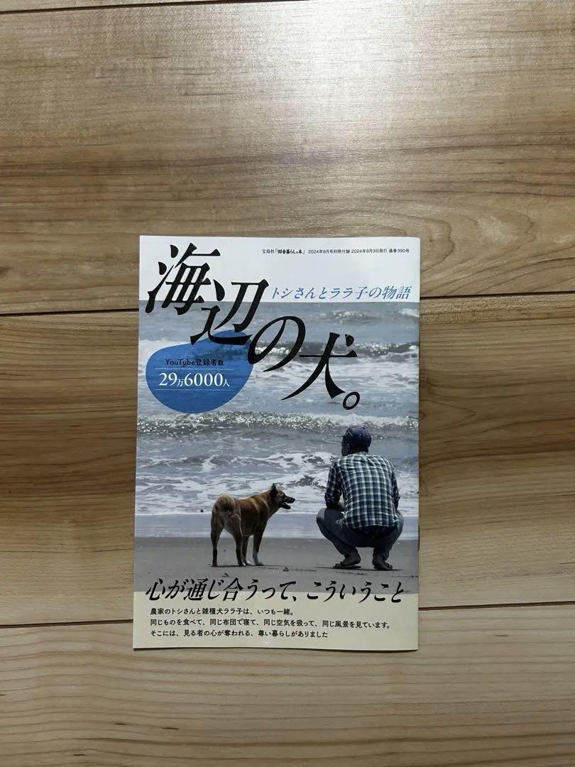 海辺の犬。トシさんとララ子の物語 別冊】海辺の犬_トシさんとララ子の物語 田舎暮らしの本 2024.8