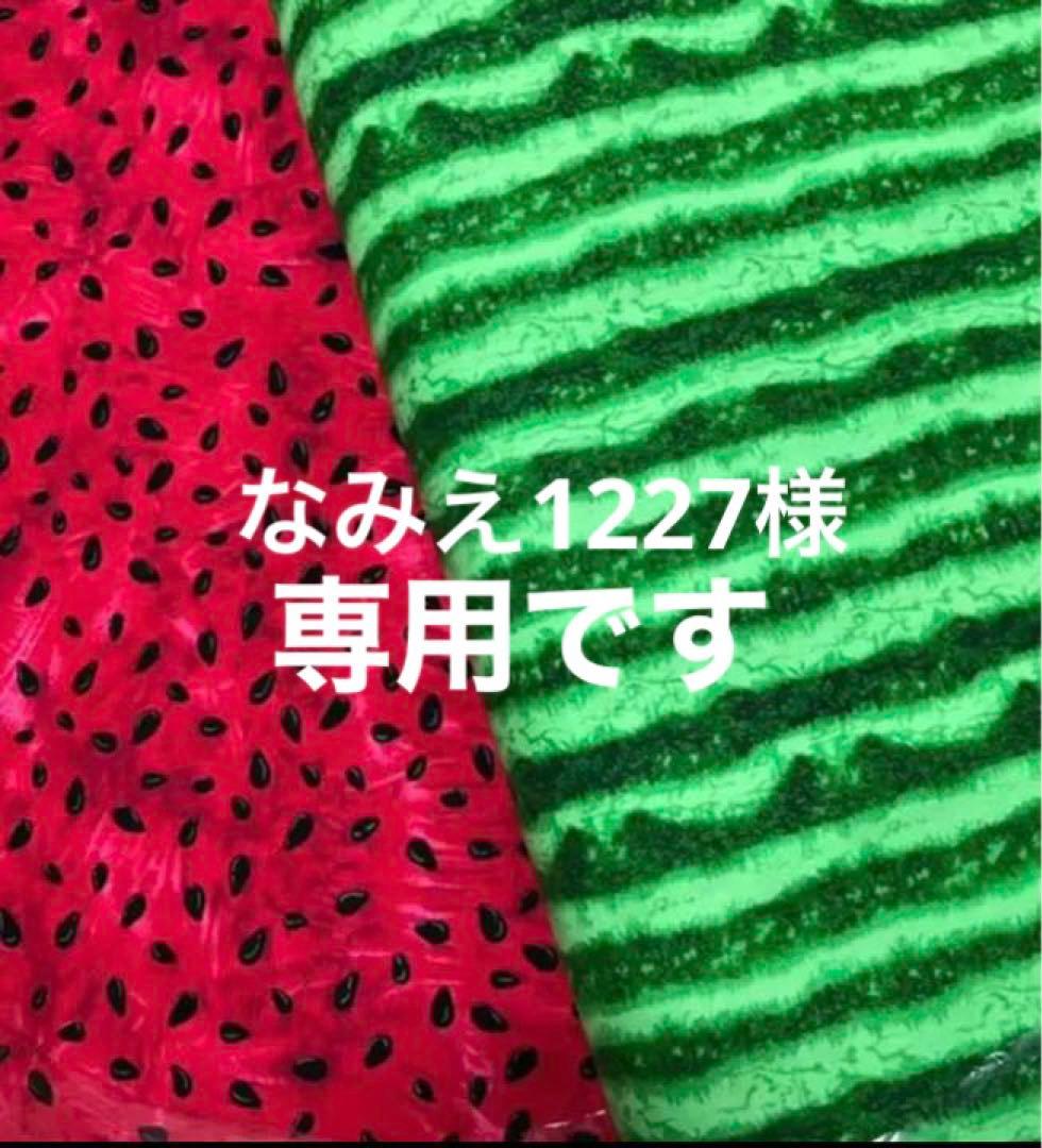 すいかの皮様専用ページ-