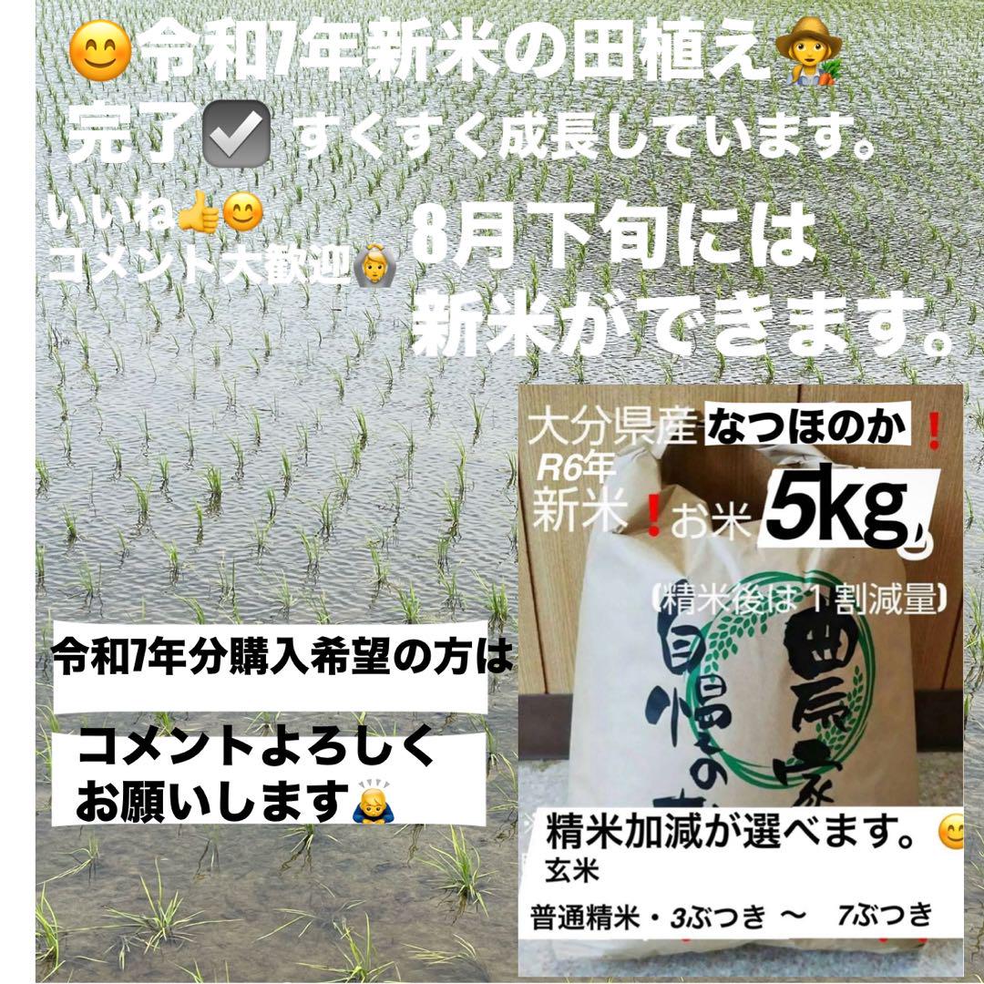 令和6年大分県産山香米なつほのか新米20kg