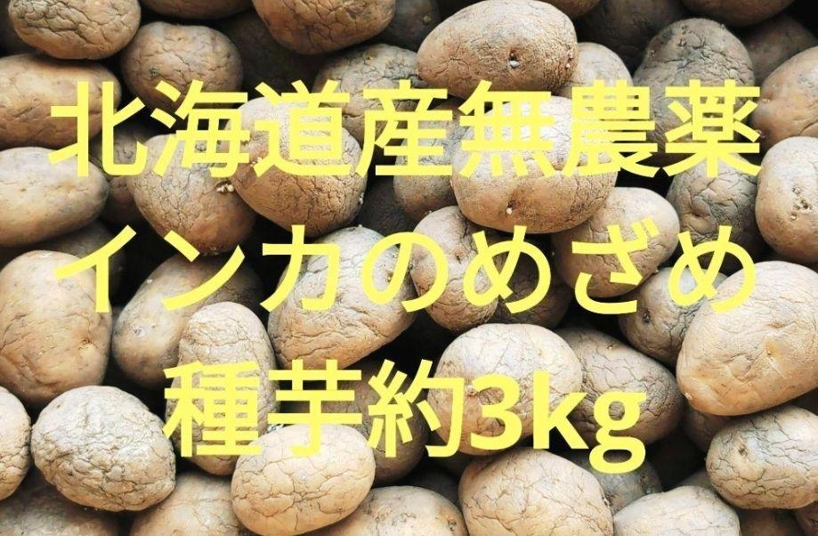 農薬・栽培期間中不使用北海道産無農薬インカのめざめ種芋約3kg
