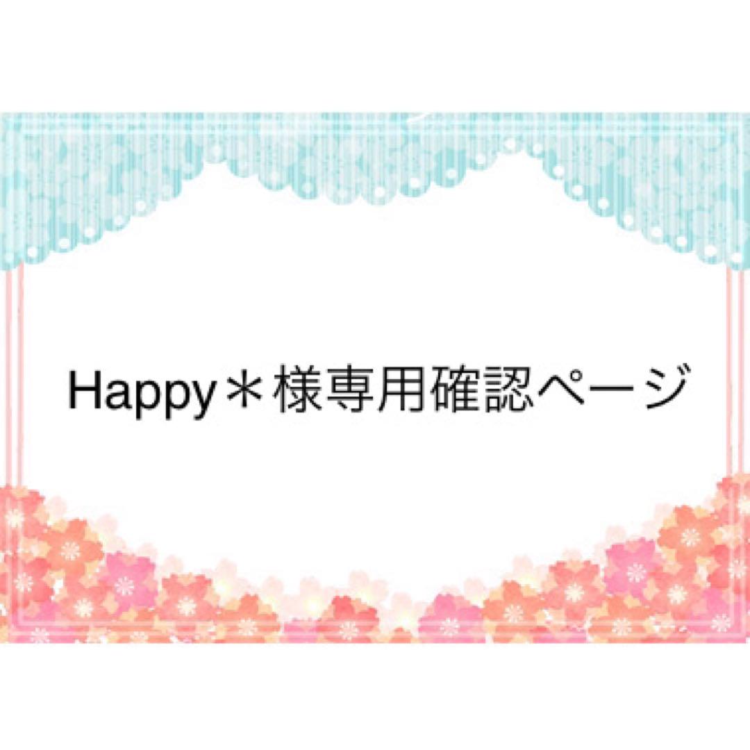 Happy＊様　専用確認ページ　２４０３１５