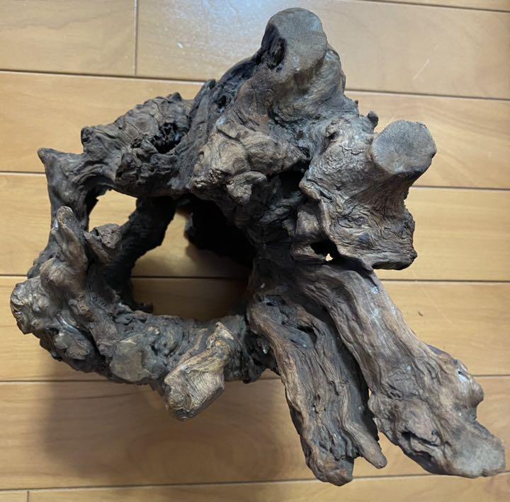 縁起物 天然 自然流木 1kg H23×W24×D21(cm)極上流木 上質流木