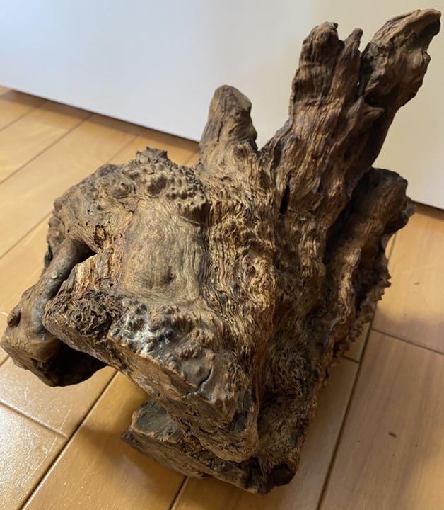 縁起物 天然 自然流木 1kg H23×W24×D21(cm)極上流木 上質流木