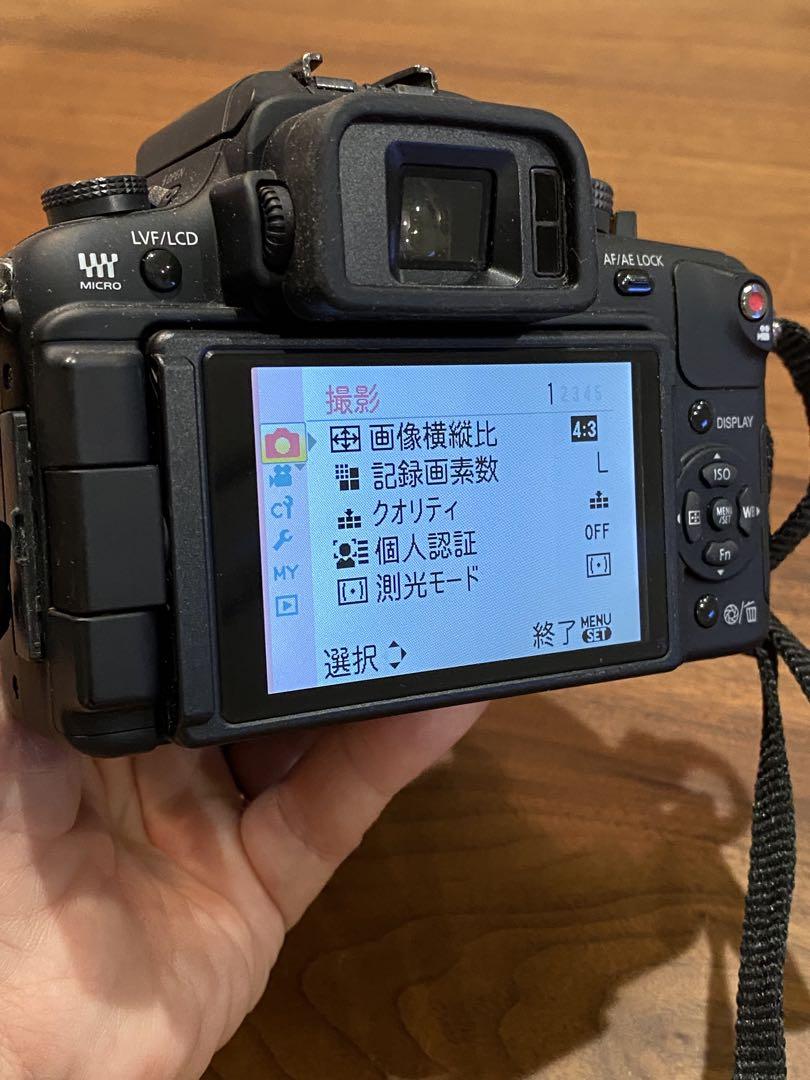 LUMIX GH1 ミラーレス Nikon 80-200㍉ アダプター付 動作品