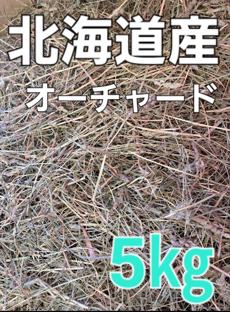 5㎏2023年国産北海道産一番刈りオーチャード 無数