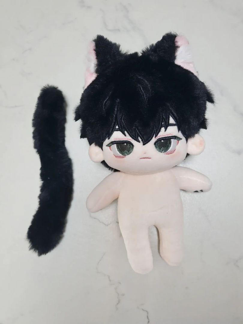 20CM