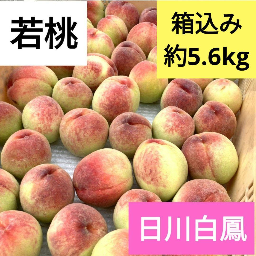 ⑳加工用　硬い桃　朝採れ　はねだし　若桃　小桃　傷あり