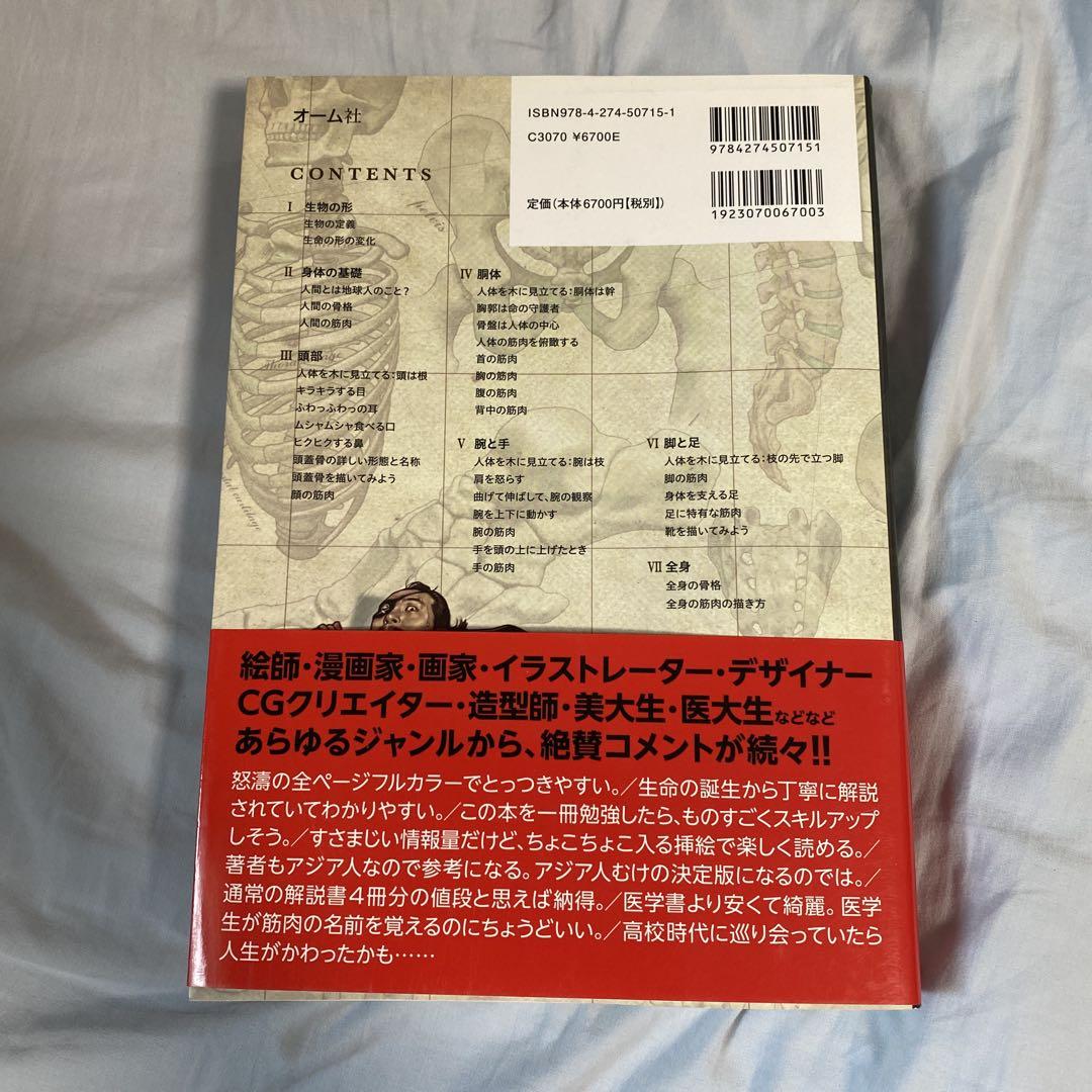 ソッカの美術解剖学ノート
