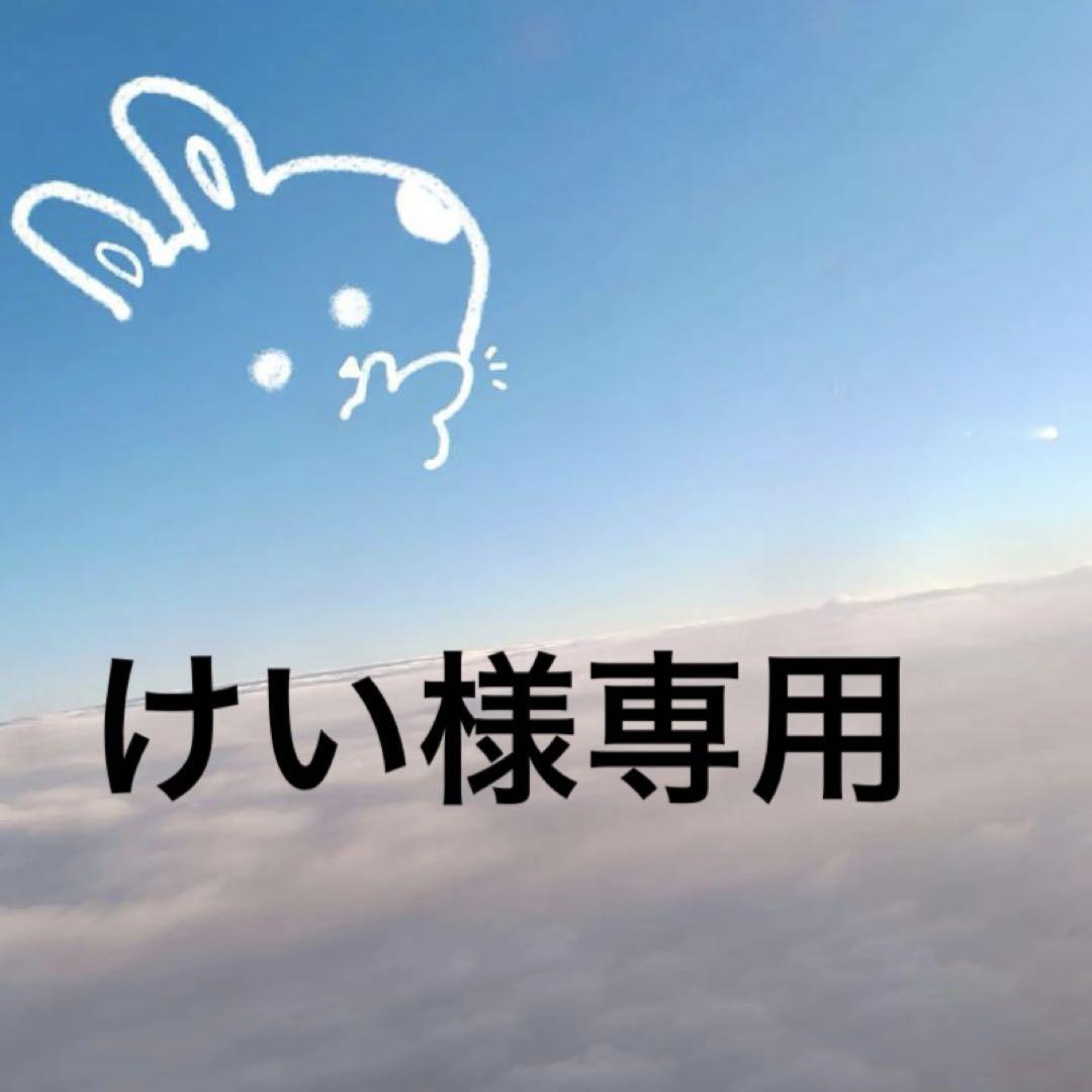 けい S