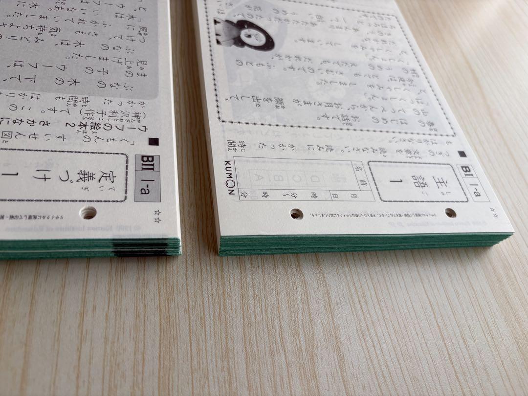 くもん 未記入　国語 BI BII 399枚　公文　200枚と199枚 Amazon.co.jp: 未記入公文 国語 BⅠ 1-100 おまけ付全110枚