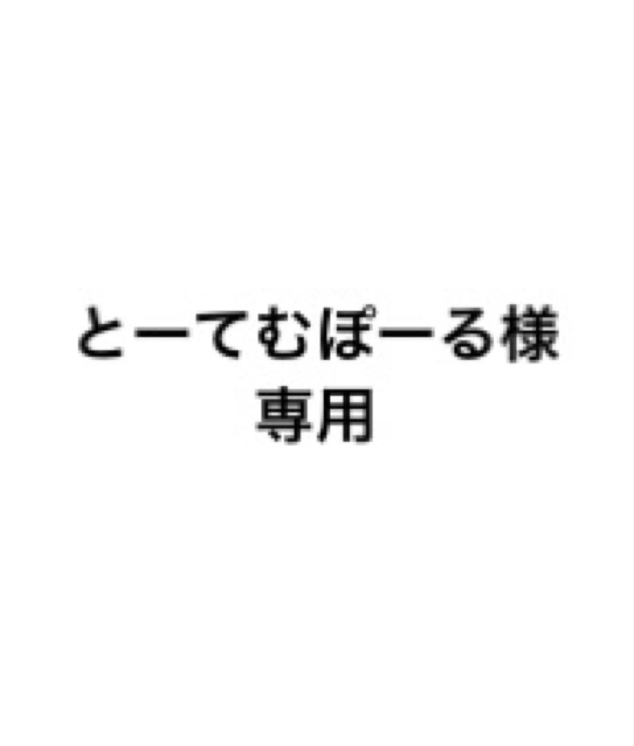 とーてむぽーる様専用 メタル芯ケース moonlight