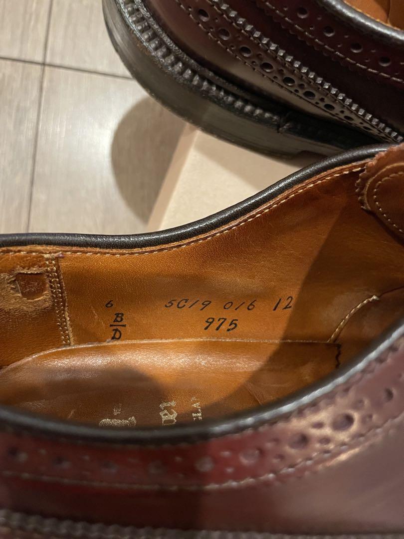 Alden 975コードバンウィングチップ