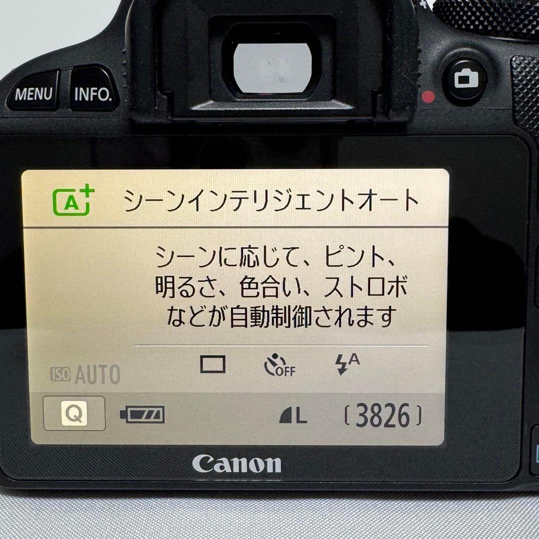 超望遠✨️ Canon Kiss X7 ダブルレンズキット 手ぶれ補正付き お祝い