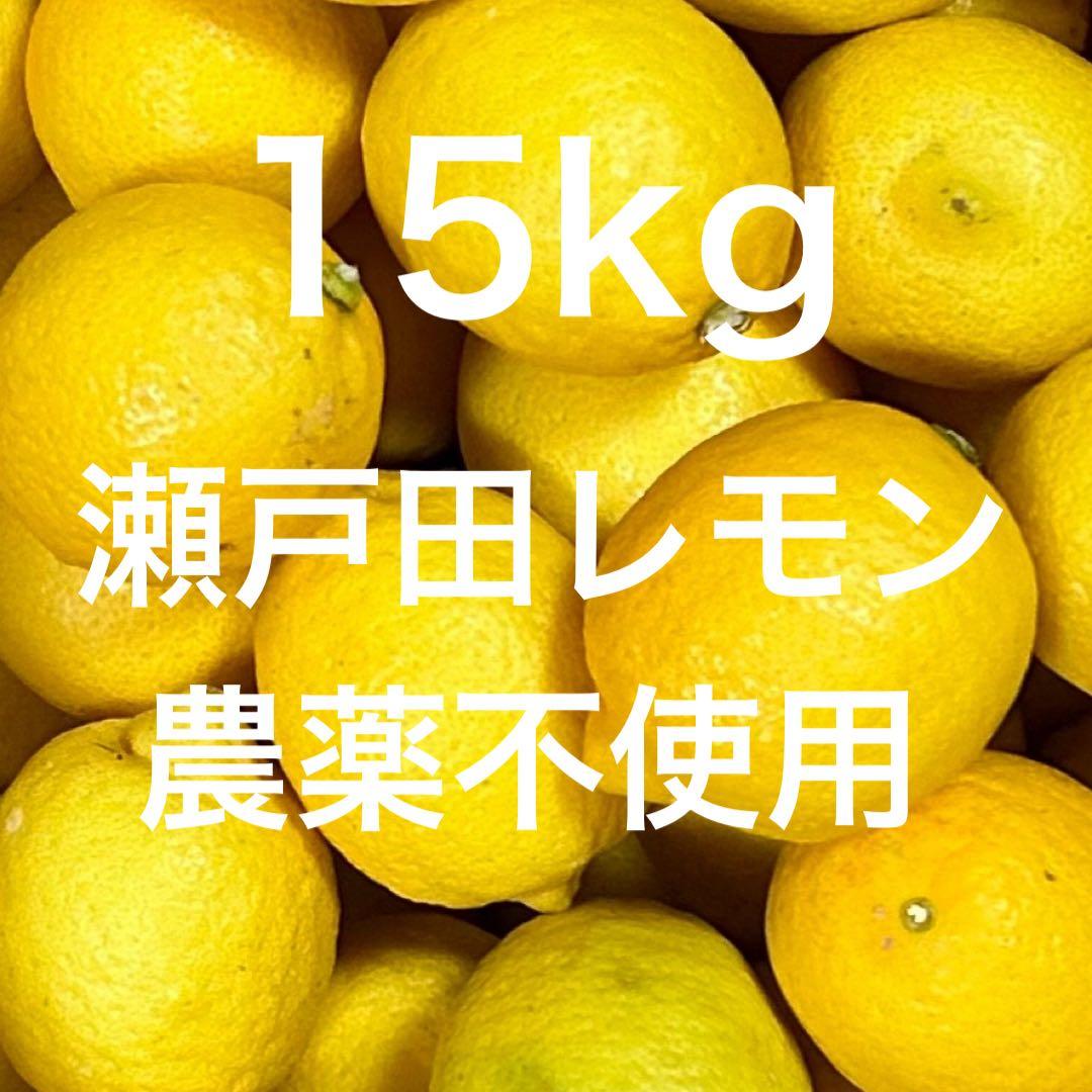 国産　瀬戸田レモン農薬不使用　　n