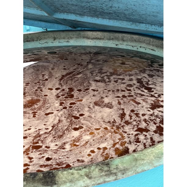 ☆人気爆発！紀州南高梅 樽 10kg 梅 無添加 和歌山 紀州 白梅 3008