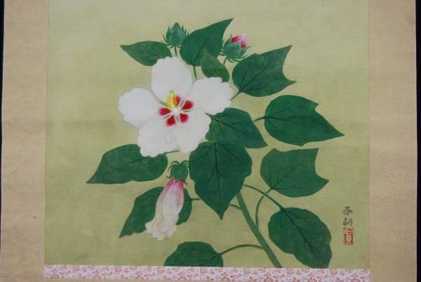 春耕 芙蓉 掛軸☆宝船☆E-914 J