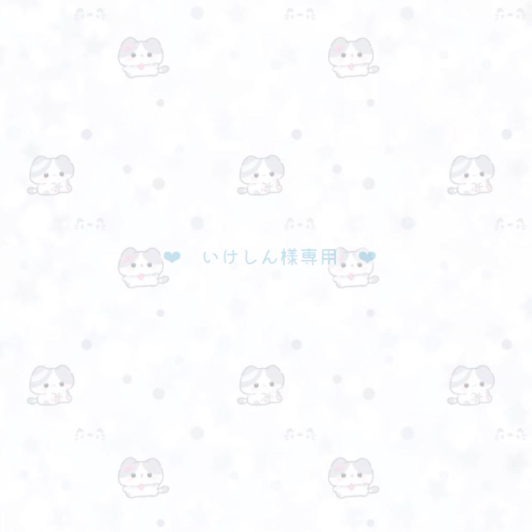 ⟡ いけしん様専用ページ ⟡