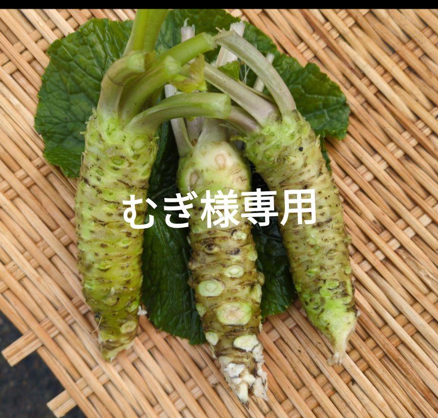 生わさび