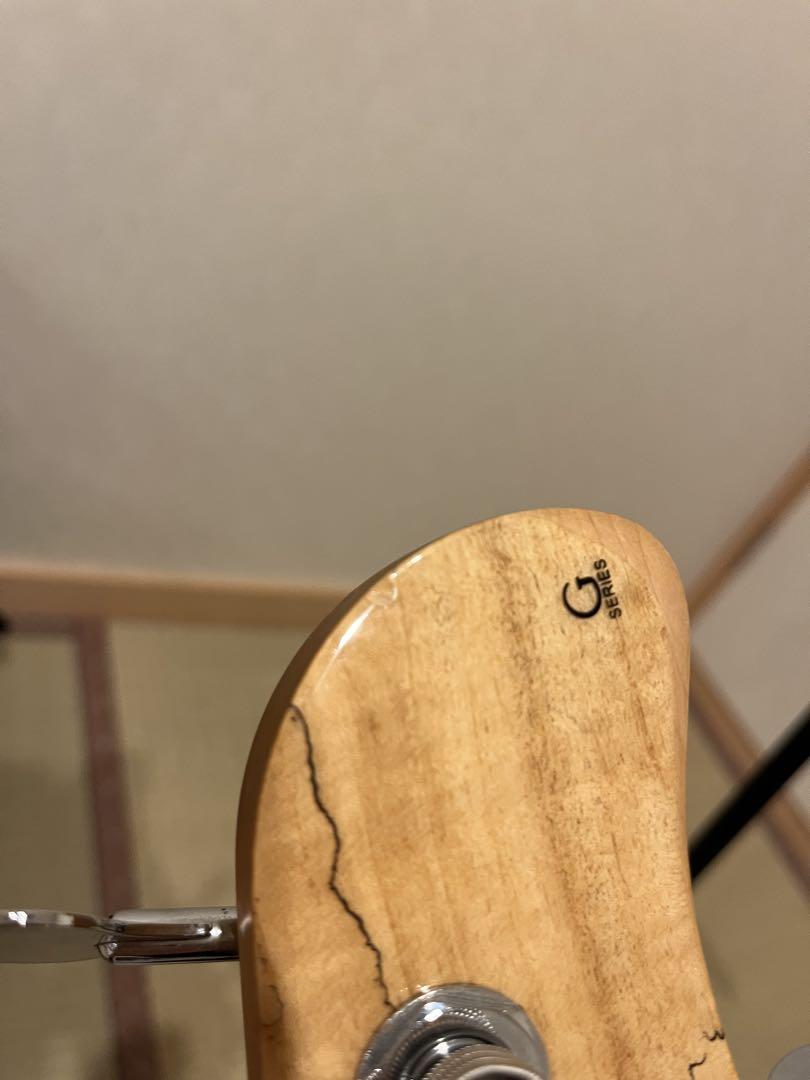 Cort GB5-Custom 5弦ベース