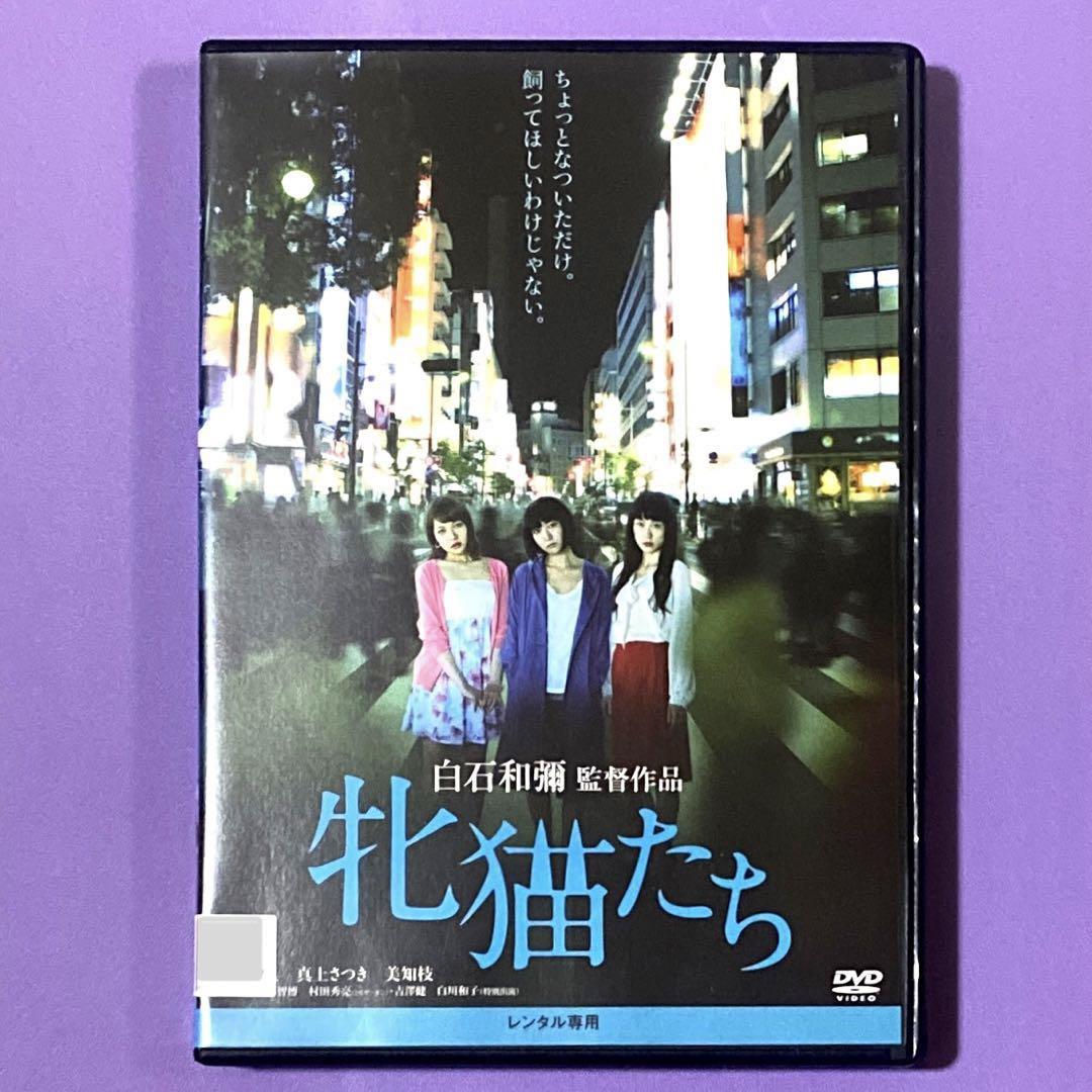 DVD 白石和彌監督作品 牝猫たち 井端珠里/真上さつき/美知枝