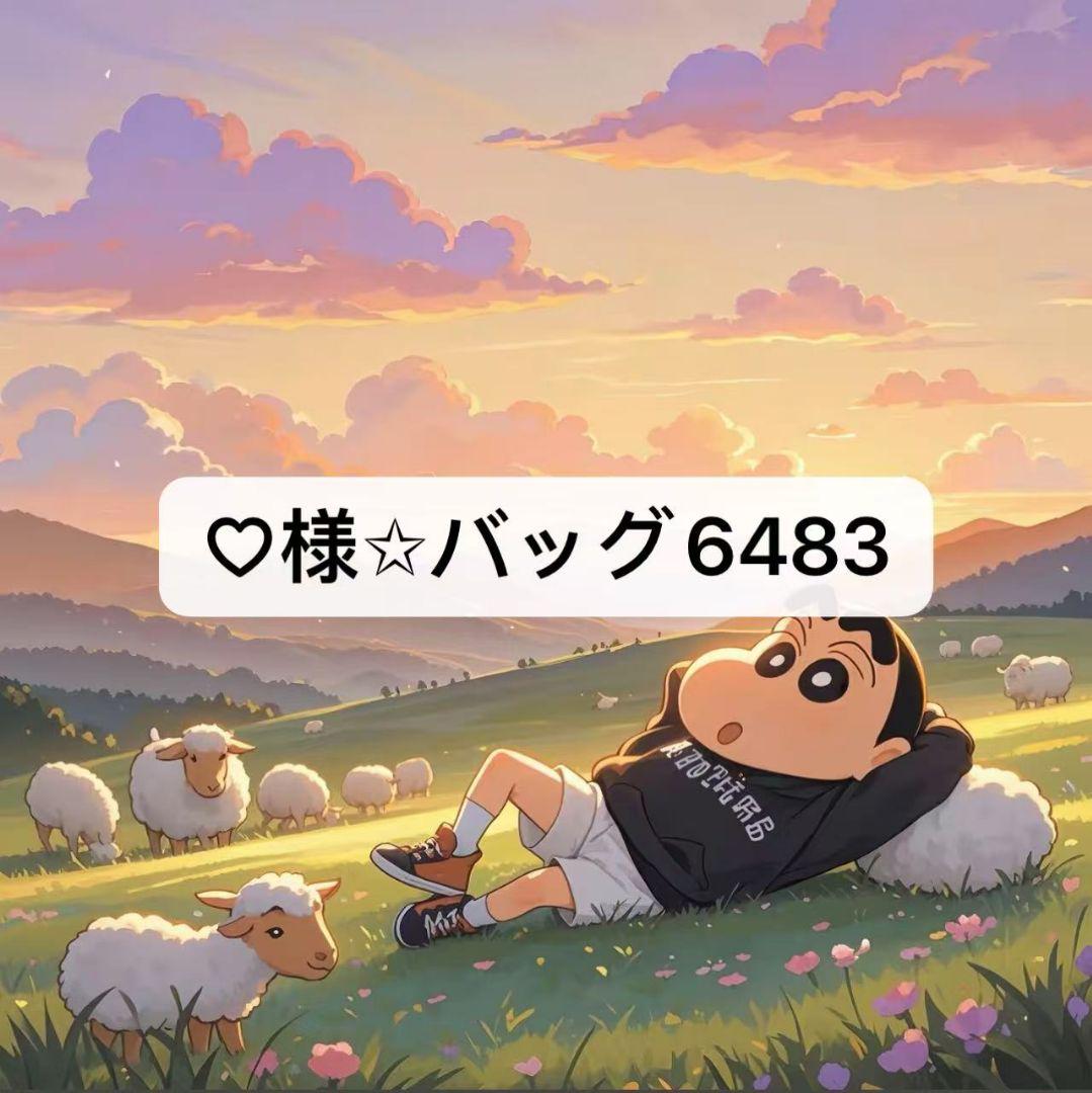 ♡様✩バッグ6483
