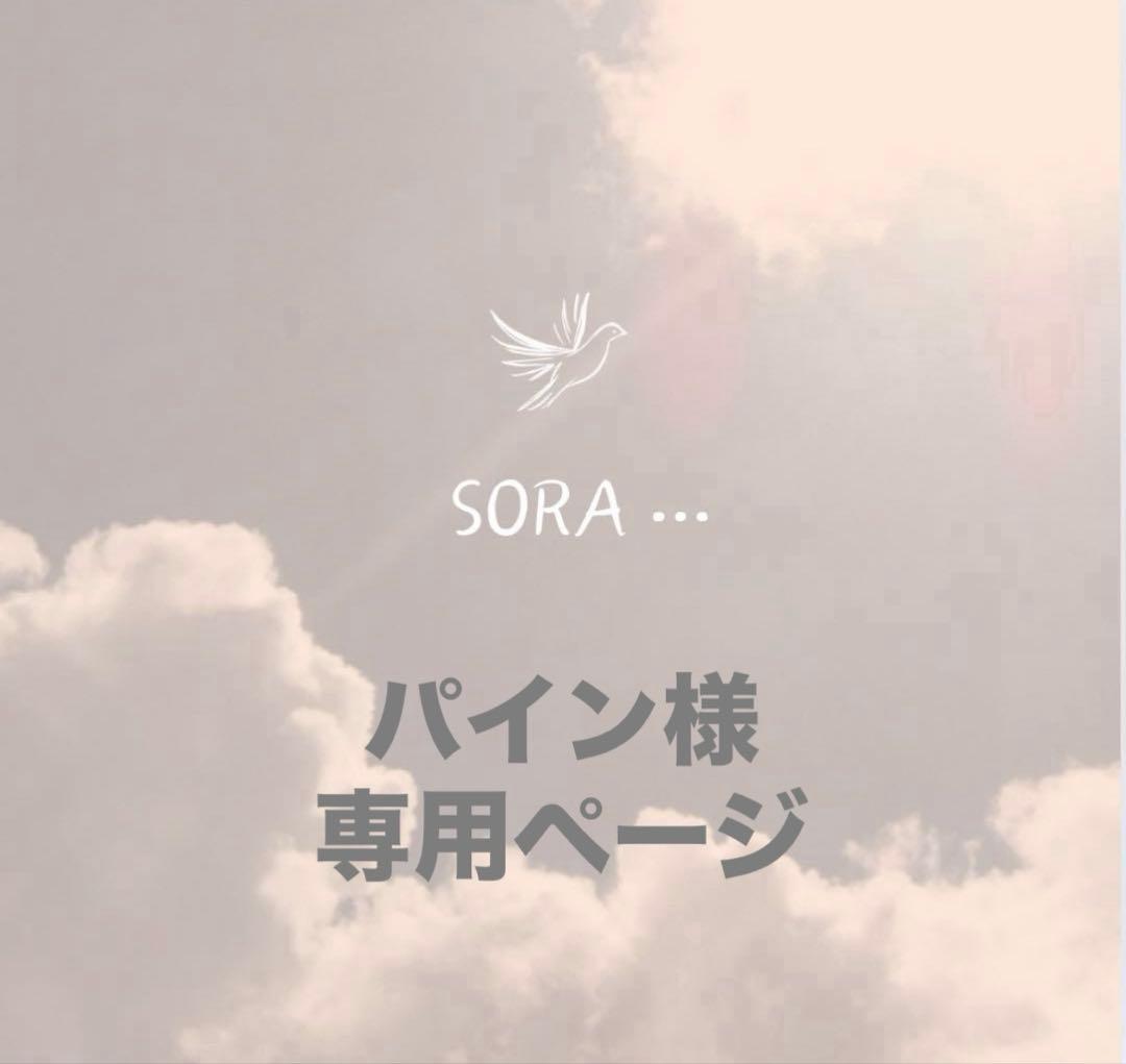 パイン アナ メッシュ有り