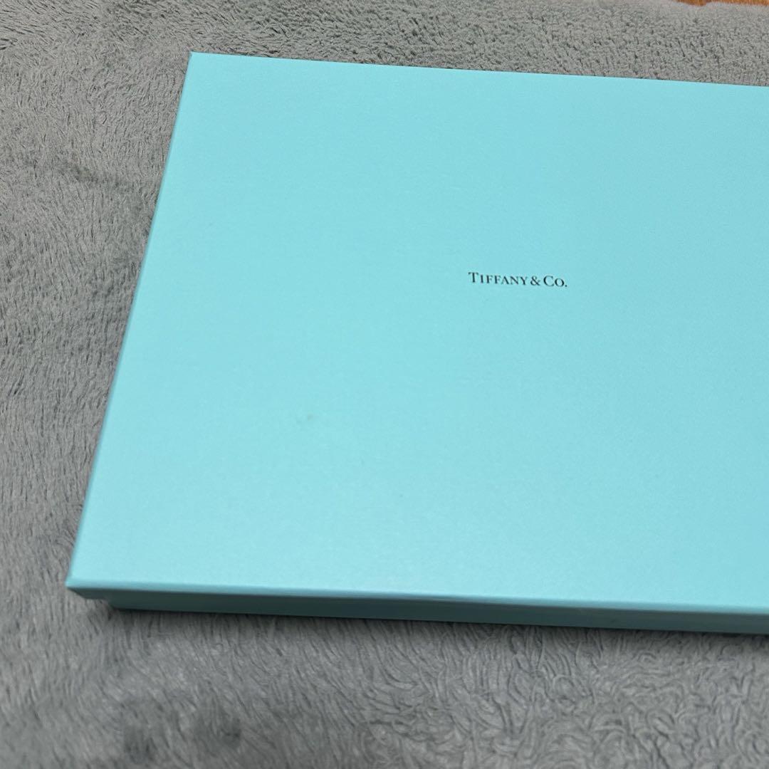 Tiffany＆Ⅽo　ティファニー　クラッチバッグ　ブラック