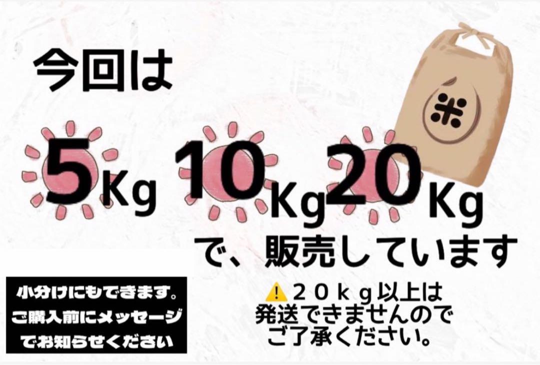 【新米】令和6年産 北海道米　ななつぼし　白米　20kg