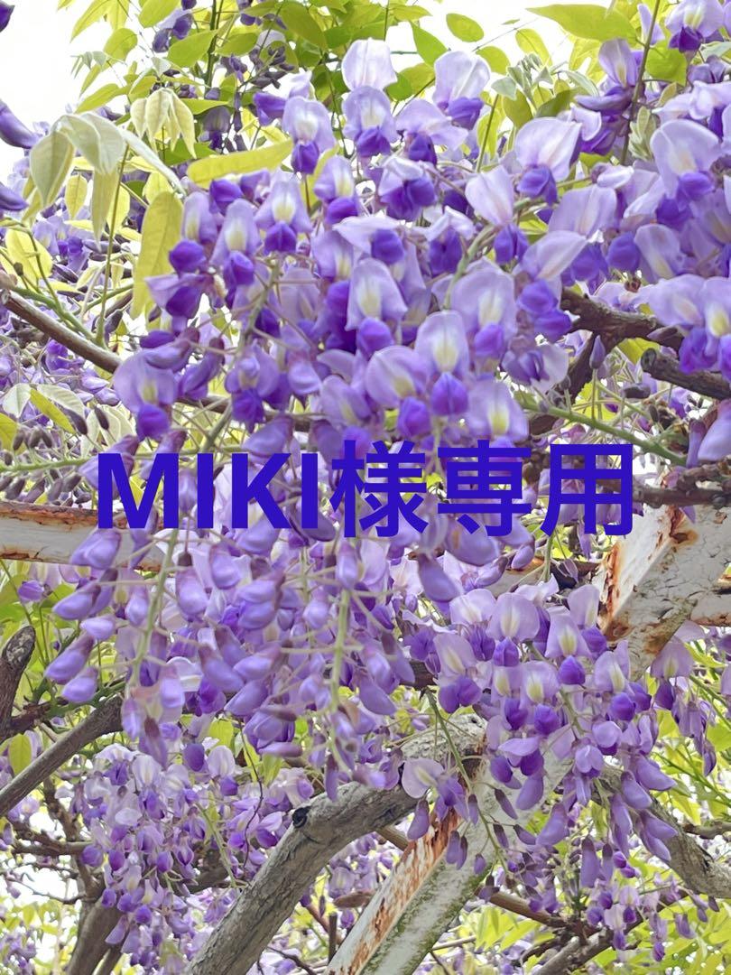 【美品】ロキシー　ロングスプリング 2mm