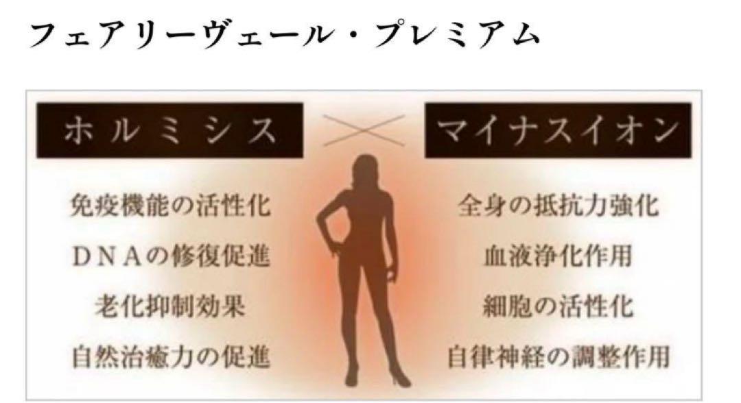 フェアリーヴェール プレミアム ベレガ 岩盤浴エクササイズ