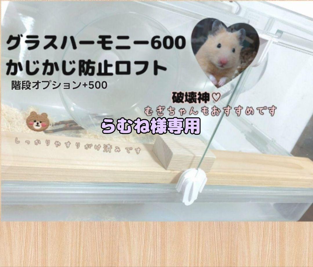 なんでも鑑定団よりも驚き！ ハムスターロフト かじり防止ロフト グラスハーモニー600専用 ケージ・アクセサリー