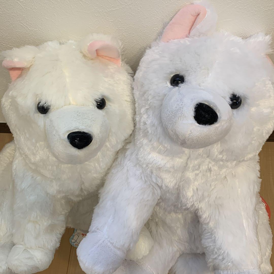 くったり サモエドくん ぬいぐるみ 2点 犬 ぬいぐるみ