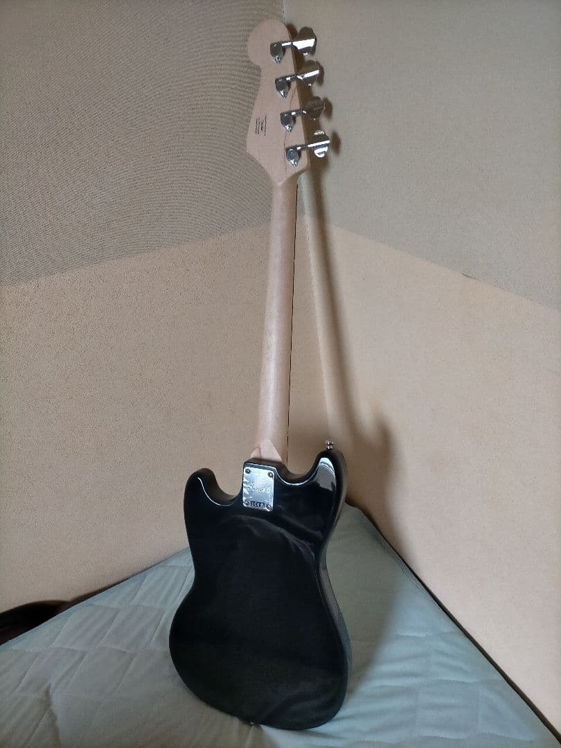 SX SBG2 スティングレイタイプ アクティブベース