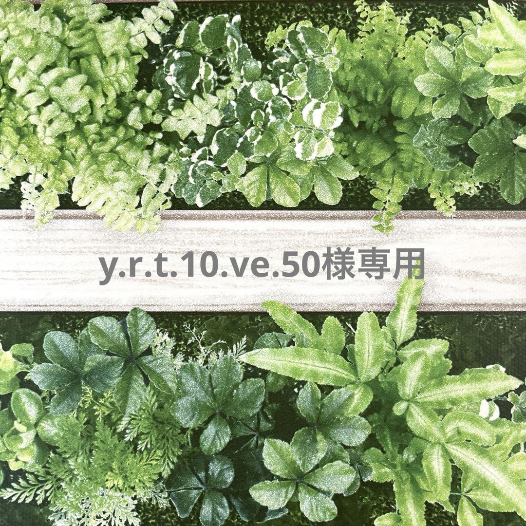 y.r.t.10.ve.50様専用ページ トリミングチョーカー