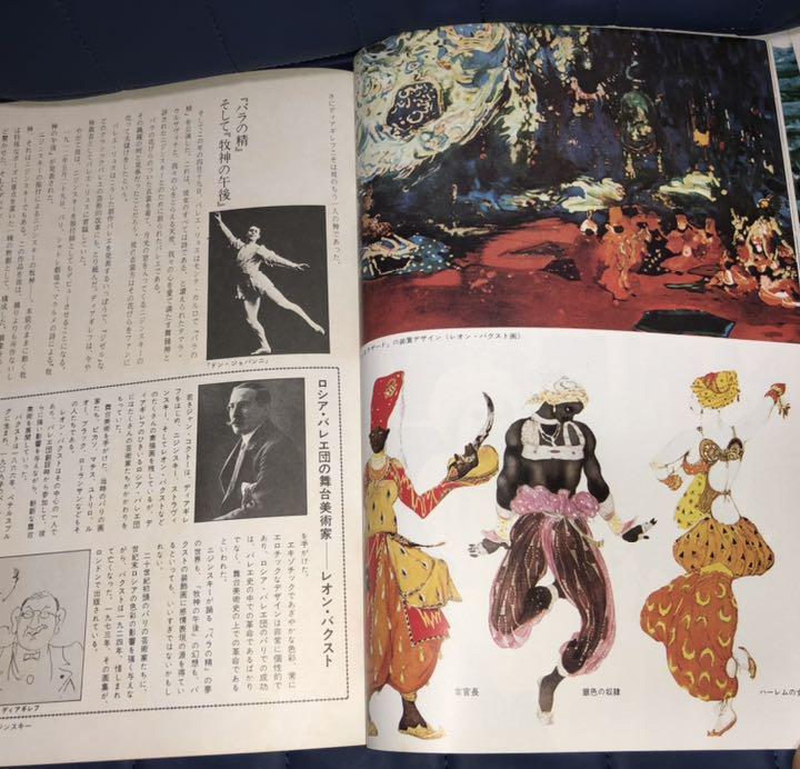 能登地震寄付 ニジンスキー・神への飛翔 - メルカリ