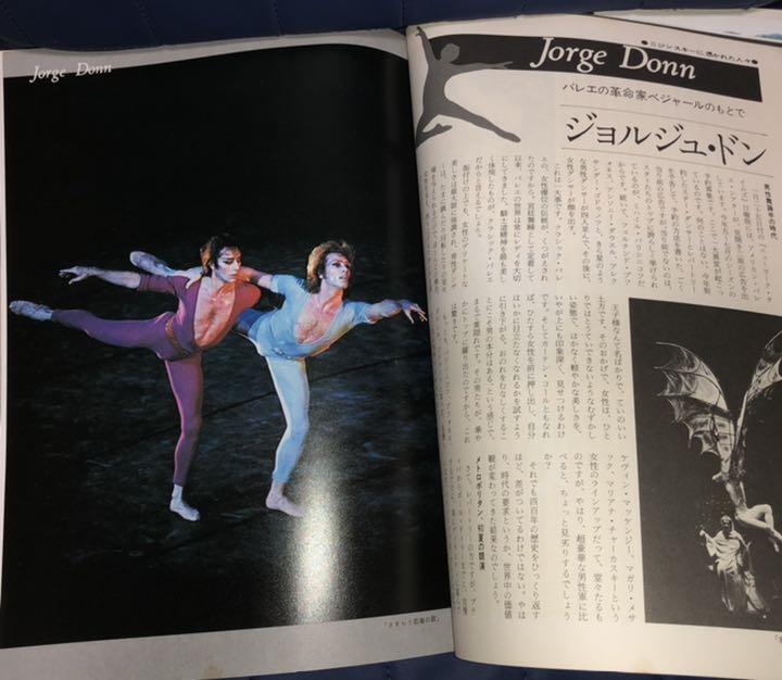 能登地震寄付 ニジンスキー・神への飛翔 - メルカリ