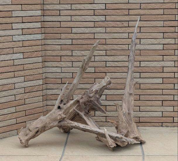 流木(626)　流木3点セット　アクアリウム　テラリウム