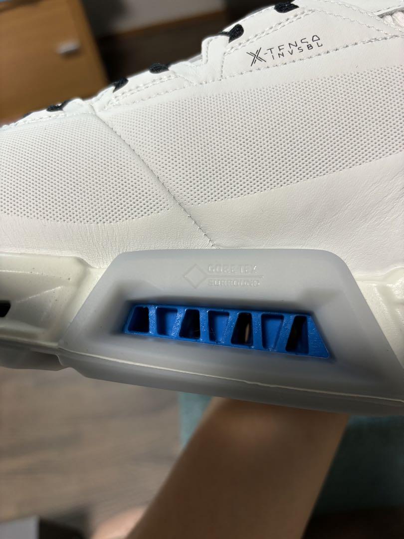 エコー  ゴアテックス バイオム BIOM C4 BOA