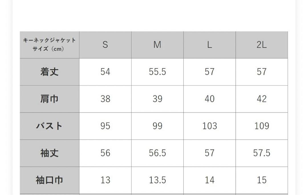 お受験　スーツ　冠婚葬祭　Frolia  七五三　セルフォード　伸芽会　ビジネス