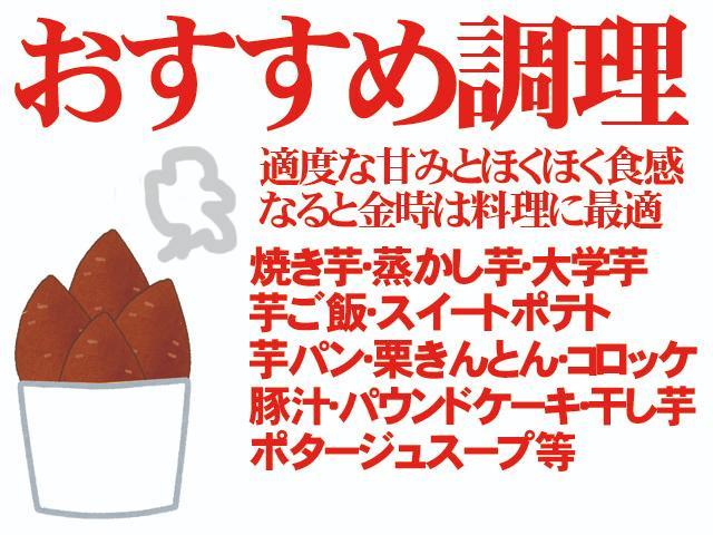 【送料無料】徳島産　なると金時芋　里むすめ　B級　S~2S 約5ｋｇ4箱