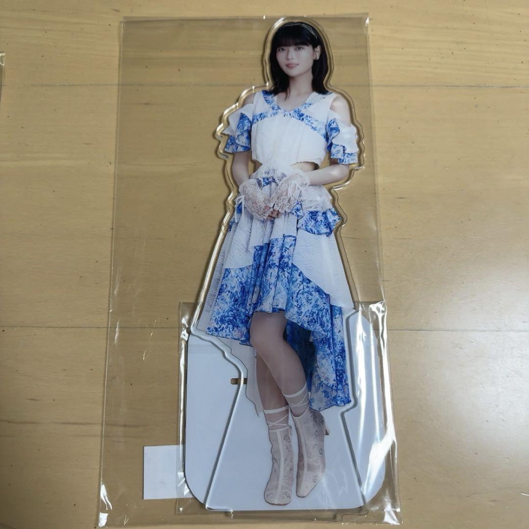 【送料無料ライン/39ショップ】 乃木坂46 lucky bag BIGアクリルスタンド 岩本蓮加 アイドル