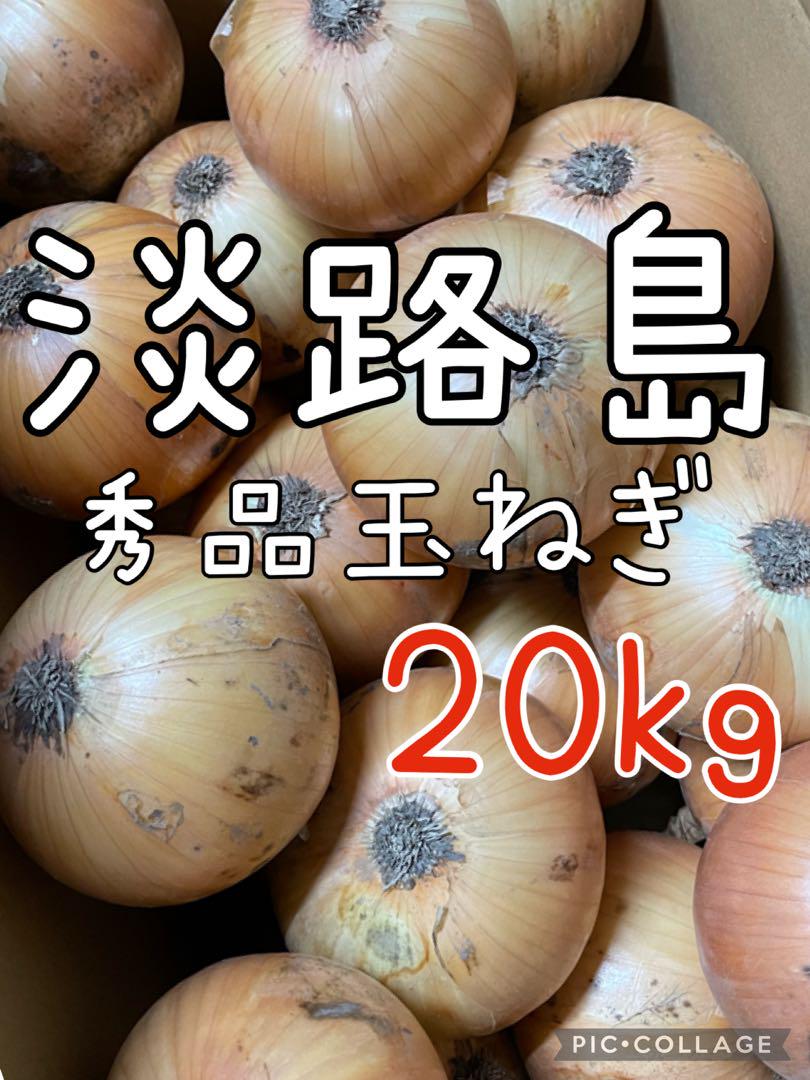 淡路島 玉ねぎ ターザン 秀品 20キロ LLサイズ 農家直送 淡路島 玉ねぎ 秀品 20キロ 送料込み！農家直送！ - メルカリ