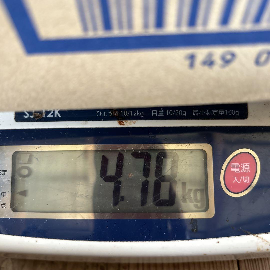 キズシワ、規格外4.5kg パッションフルーツ
