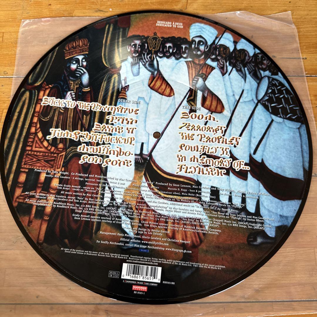 SOULFLY レコード　12インチ　ピクチャ盤