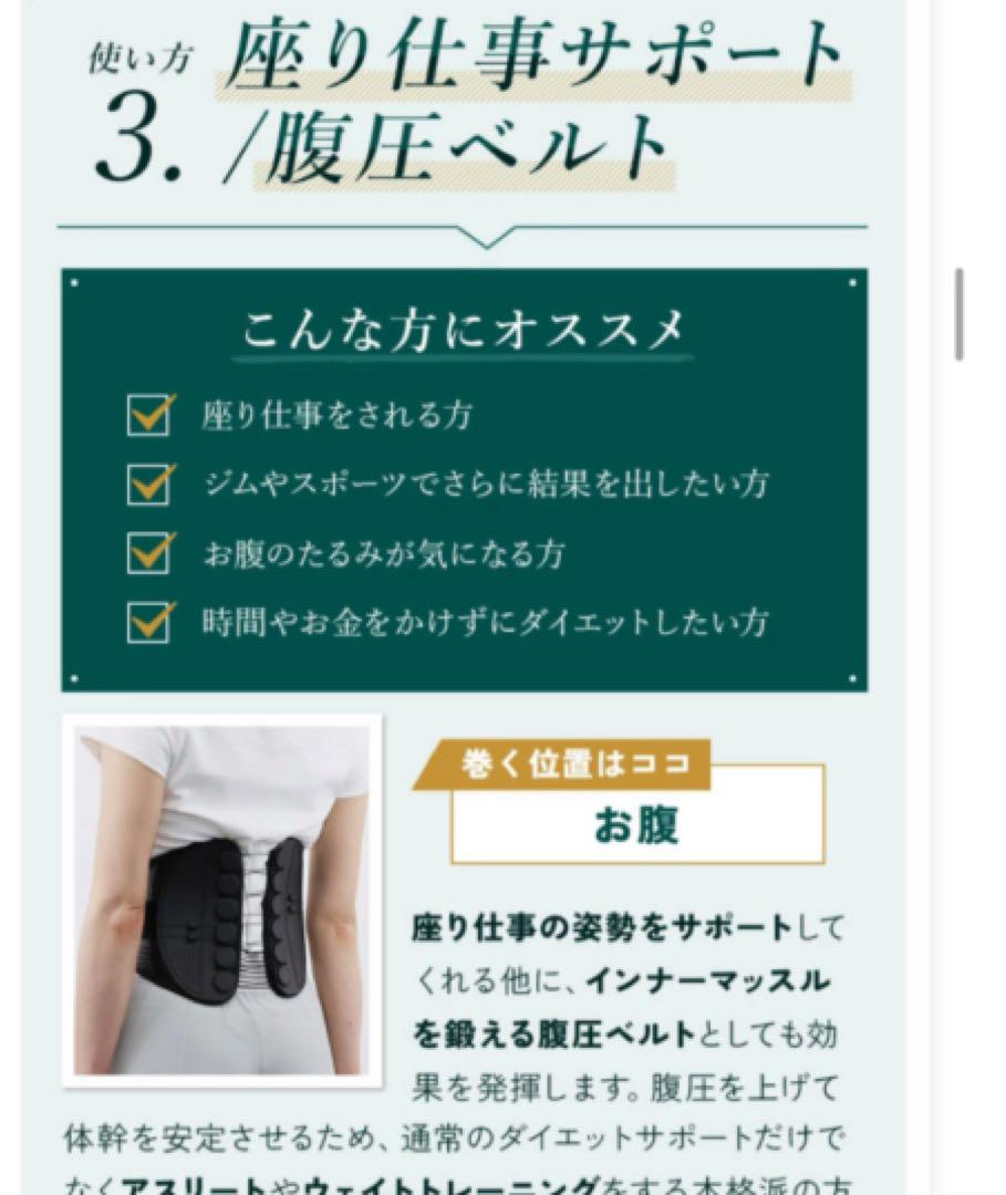即発送】GUARDNER ガードナーベルト 腰痛ベルト BELT 正規品 L