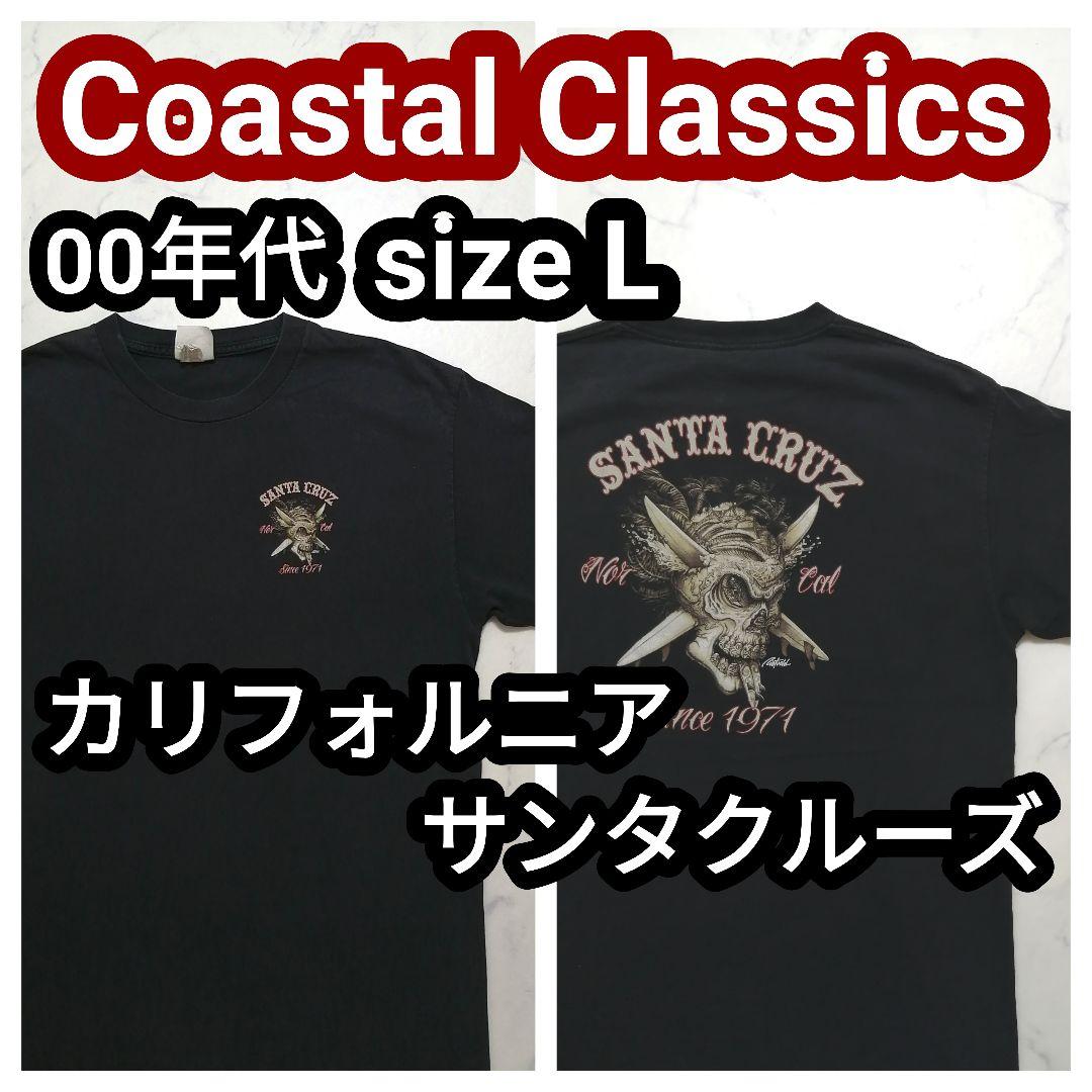 アメリカ古着 カリフォルニア サンタクルーズ ドクロ サーフ ビンテージTシャツ