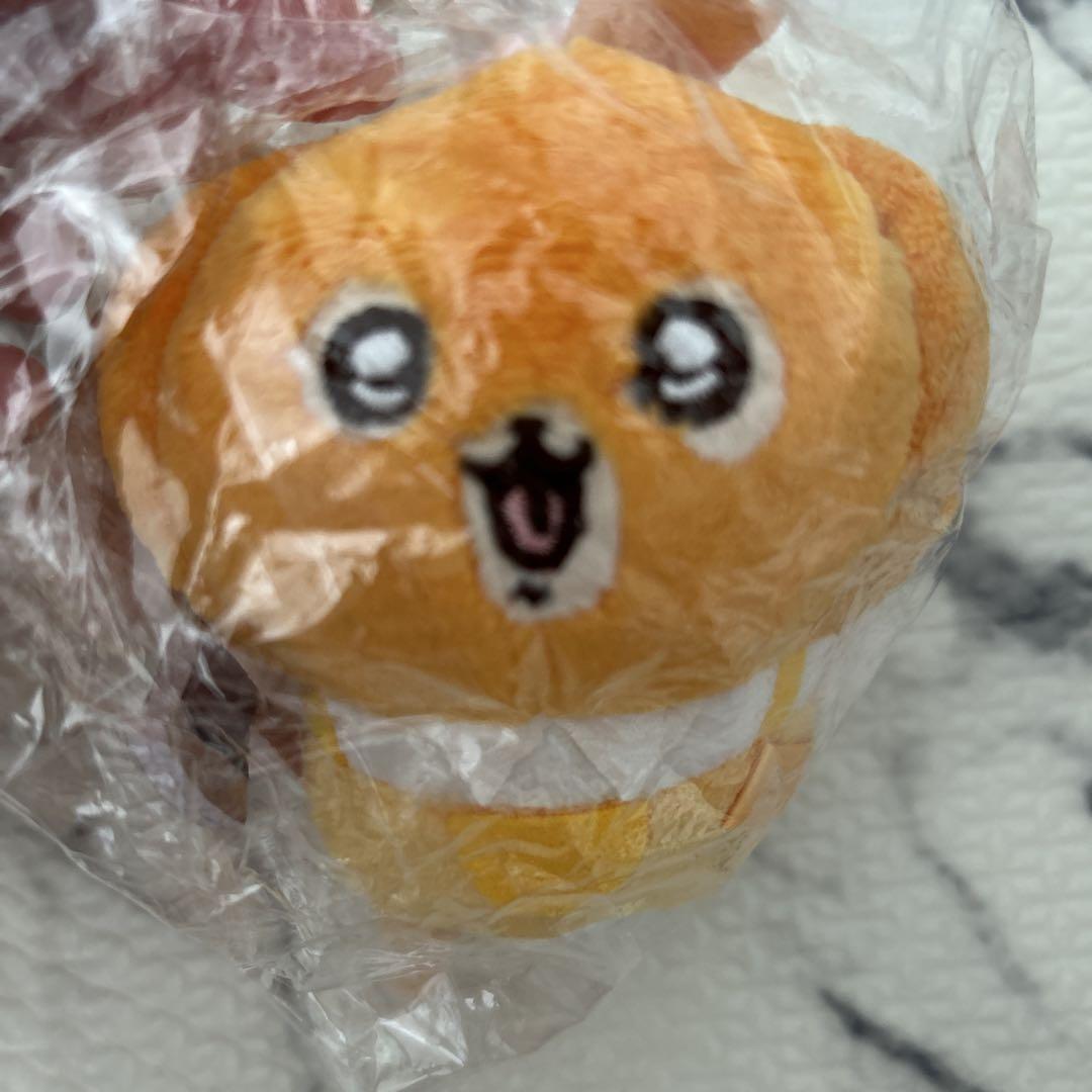 かぼちゃなうさぎ ハロウィン