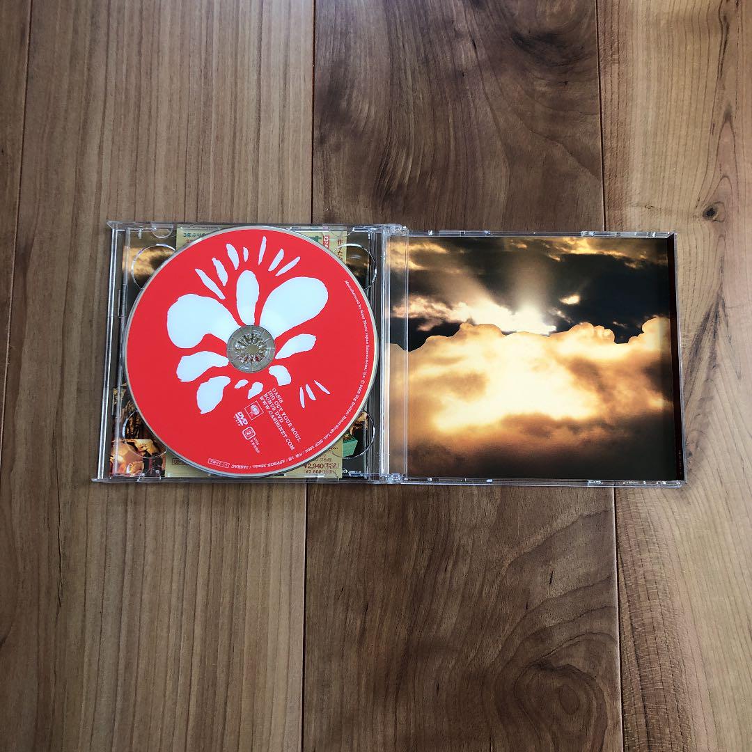 通販最新作 OASIS CD 10枚セット オアシス NquDn-m34217108577 即納日本製